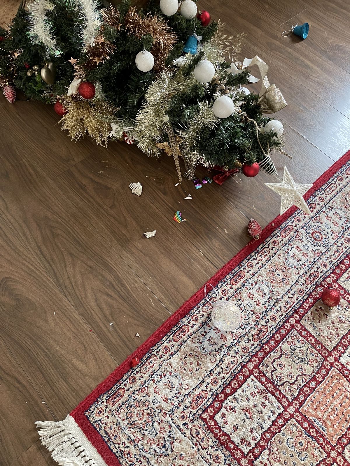 One for the Road: Tree-mendous times