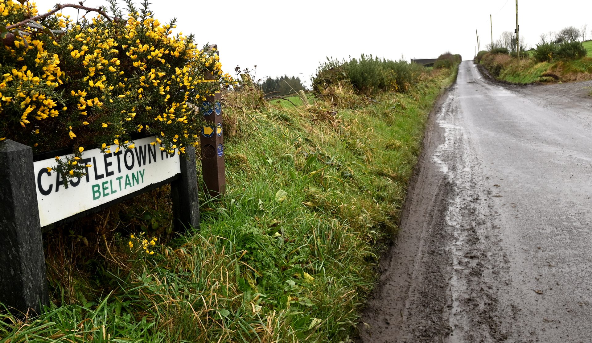 Residents shocked by suspected shooting incident near Omagh