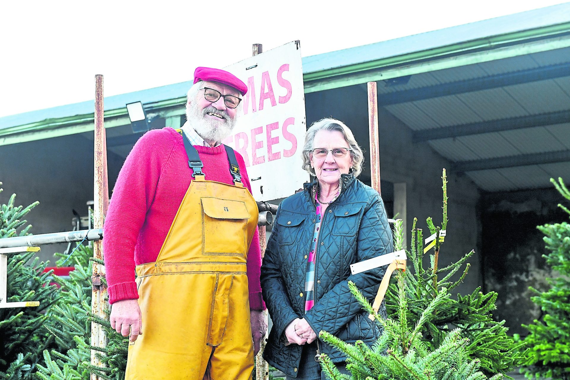 The Tyrone family keeping the festive fever alive for others