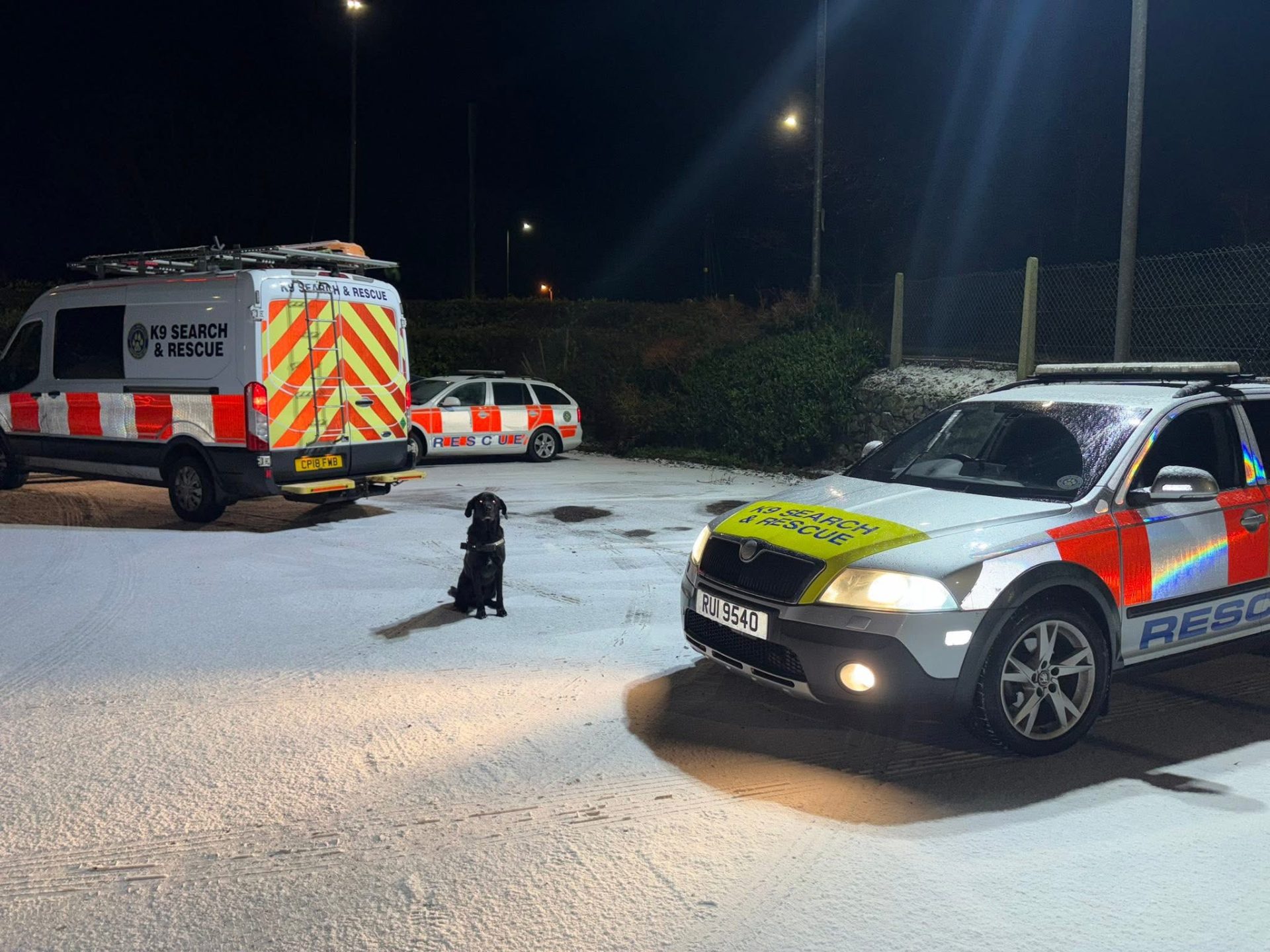 Rescue dogs join search for missing Cookstown man