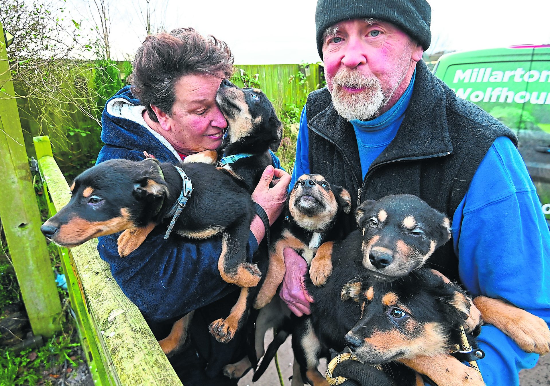 Family rescues puppies abandoned in Gortin Glens park