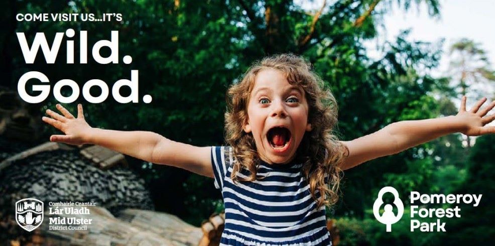 Councillor questions how ‘good’ a poster is for Pomeroy park