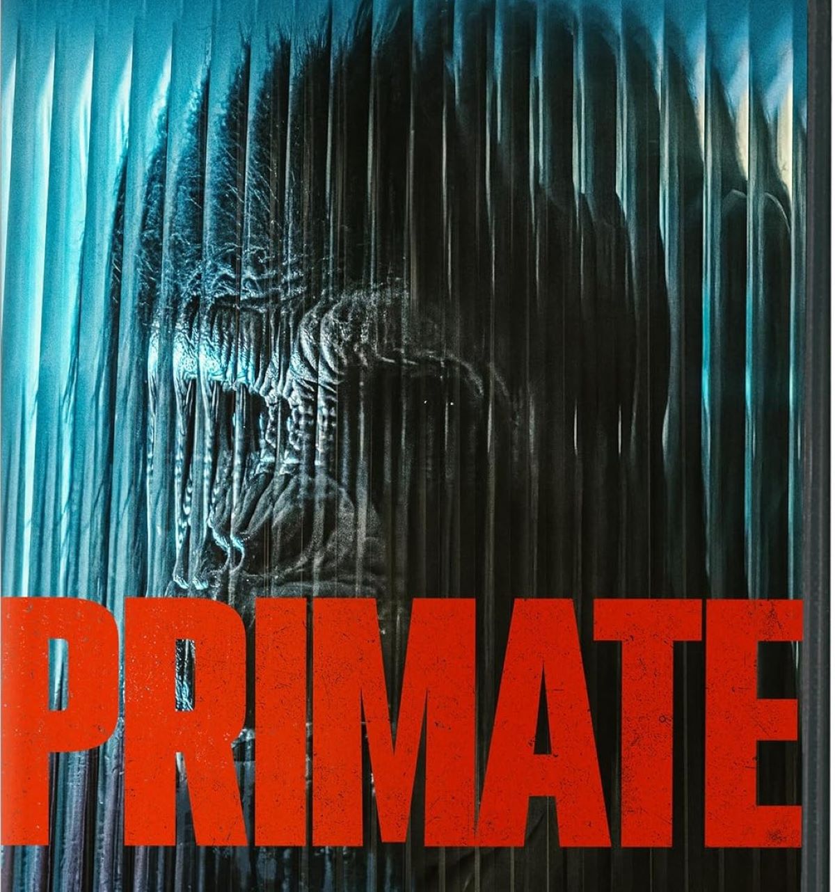 Movie Scene: Nothing to go ape over!