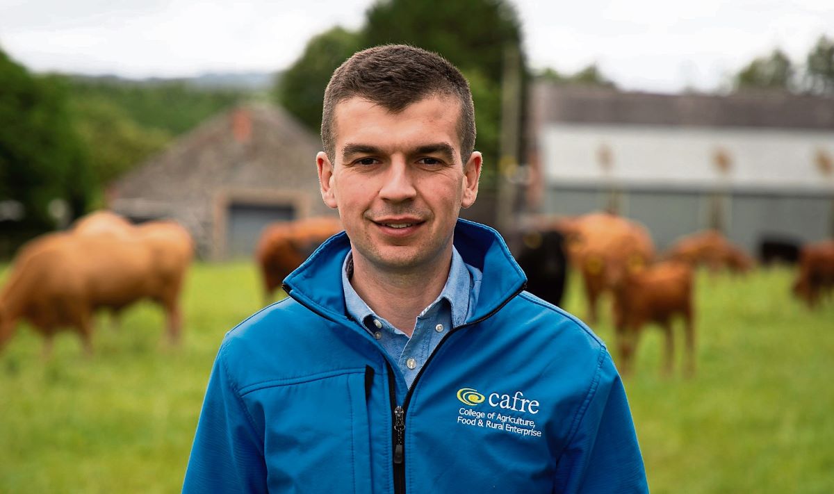 Beef finishing programme will help ‘boost profitability’