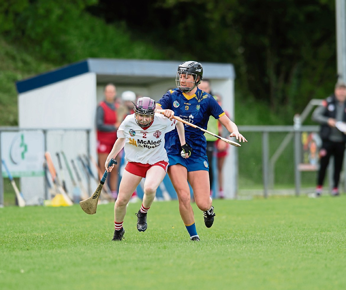 O’Grady hopes Camogs get a shade more luck