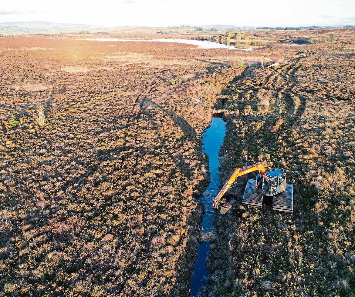 Ancient burial site unearthed during peatland project near Omagh