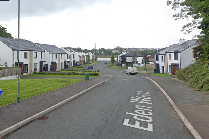 Plans put forward for 57 new houses in Derry Road area of Omagh